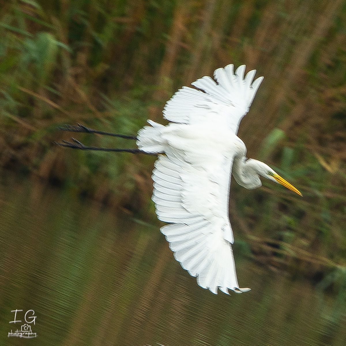 20211009  1DX0887 instagram